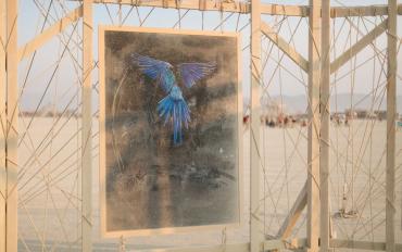 francesca-nini-eventi-kafka-nevada3