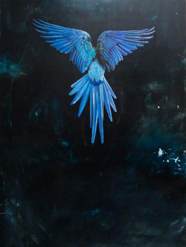 francesca-nini-opere-kafka4