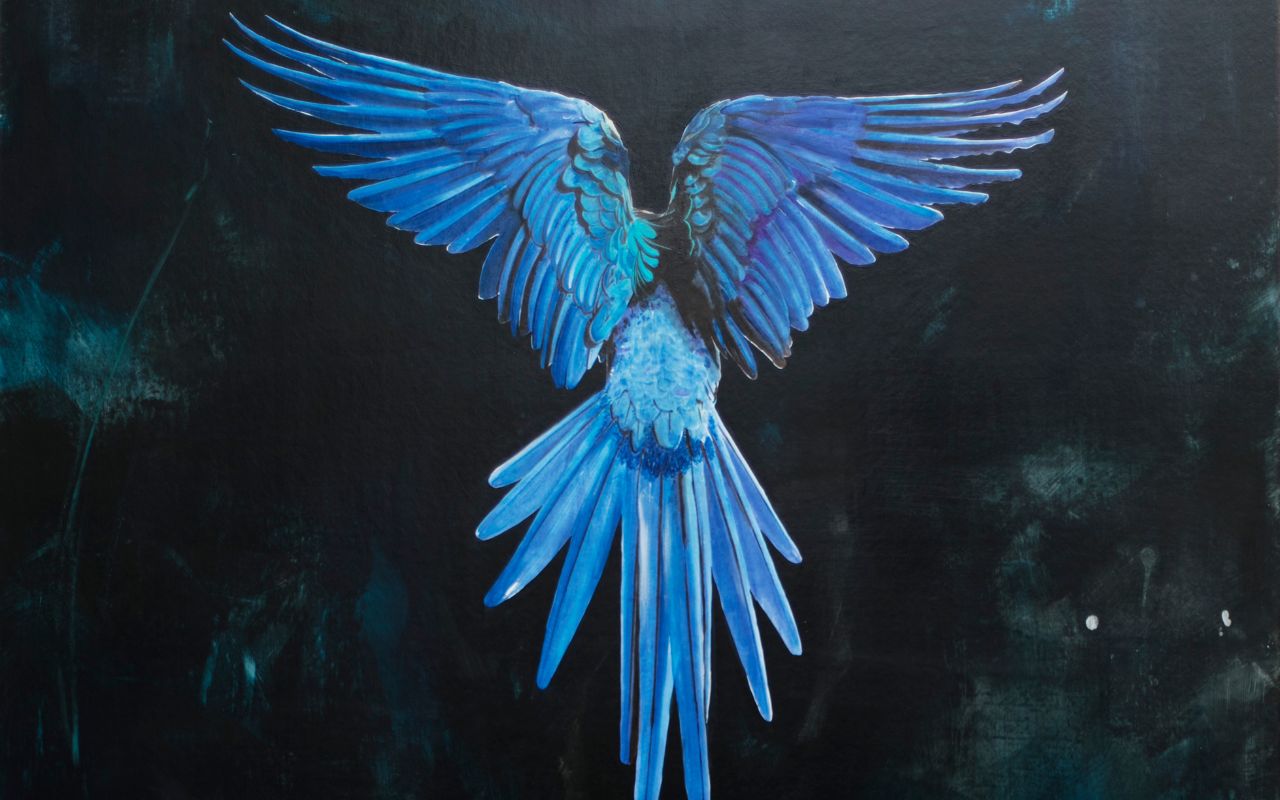 francesca-nini-pagina-eventi