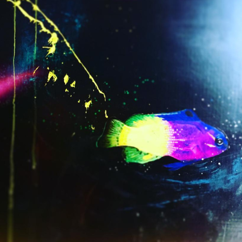 acqua e la nuova installazione firmata francesca nini carbonini