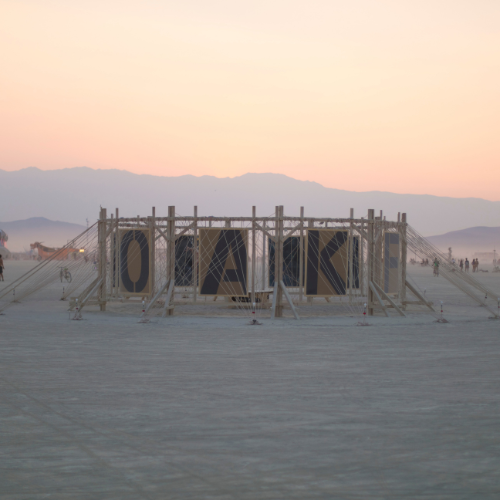 chi e nini carbonini l artista italiana che ha conquistato burning man